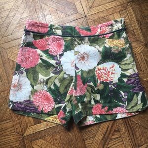 Anthropologie elevenses shorts